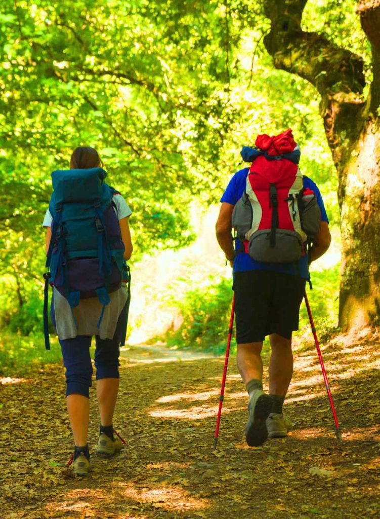 Due pellegrini percorrono un tratto della Via Francigena