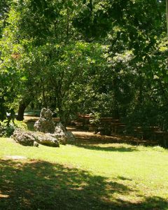 L'Area Social Picnic di FeelGood Training APS nel Parco Naturale Regionale Valle del Treja